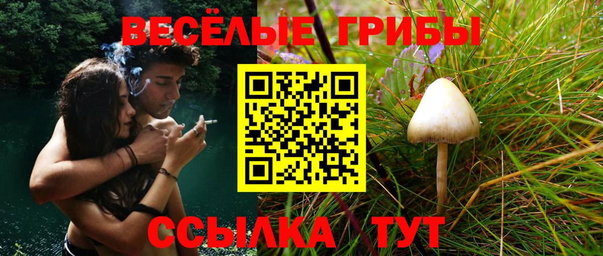Галлюциногенные грибы MAGIC MUSHROOMS Дубна